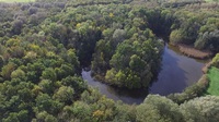 Veerse Bos